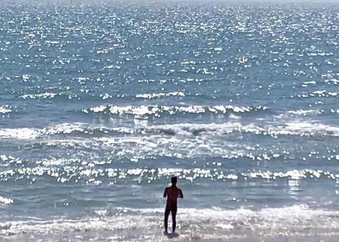 Dans La Pinède Casa vacanze *